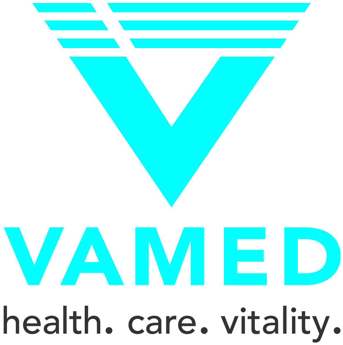 vamed Logoclaim cmyk